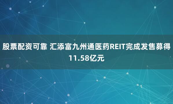 股票配资可靠 汇添富九州通医药REIT完成发售募得11.58亿元