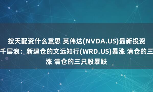 按天配资什么意思 英伟达(NVDA.US)最新投资版图掀起千层浪：新建仓的文远知行(WRD.US)暴涨 清仓的三只股暴跌