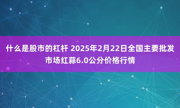 什么是股市的杠杆 2025年2月22日全国主要批发市场红蒜6.0公分价格行情