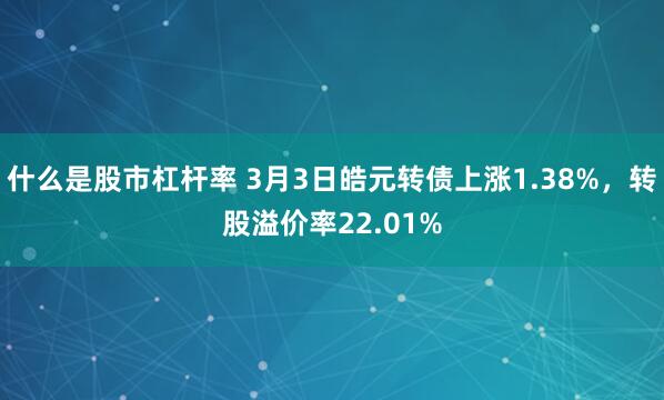 什么是股市杠杆率 3月3日皓元转债上涨1.38%，转股溢价率22.01%